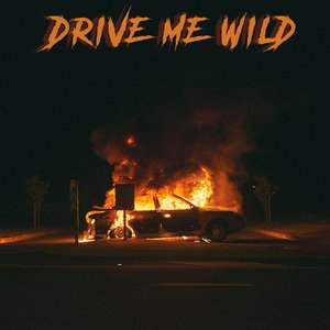 'Drive Me Wild'の画像