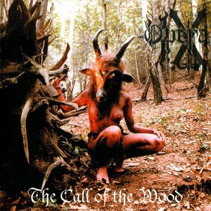 “The Call of the Wood”的封面