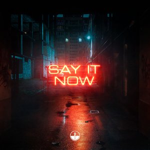 Image for 'Say It Now'