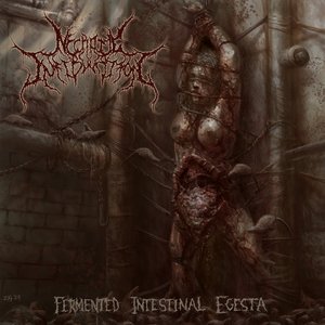 “Fermented Intestinal Egesta”的封面