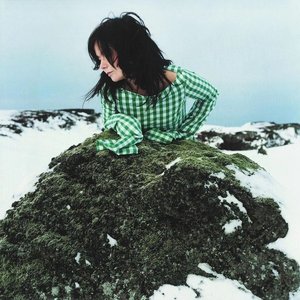 “Björk”的封面