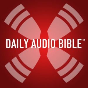 Image for '1 Year Daily Audio Bible'