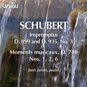 Image for 'Schubert, F.: Impromptus, D. 899 and D. 935, No. 3 / 6 Moments Musicaux (Excerpts)'