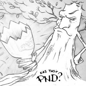 Image for 'Kas tas ir - PND?'