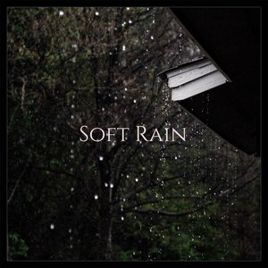 Image for 'Soft Rain'