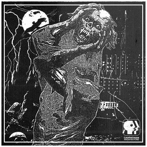 Image for 'skeleton'