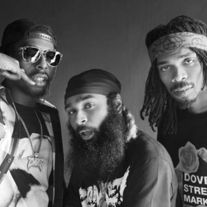 Image for 'Flatbush ZOMBiES'