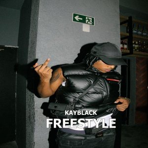 Image for 'Freestyle'