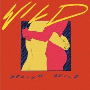 “Wild”的封面