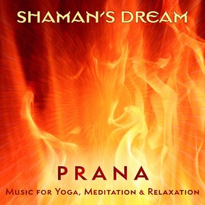 “Prana: Music for Yoga, Meditation & Relaxation”的封面