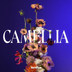 Image for 'Camellia'