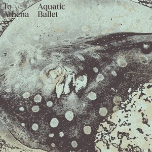 “Aquatic Ballet”的封面