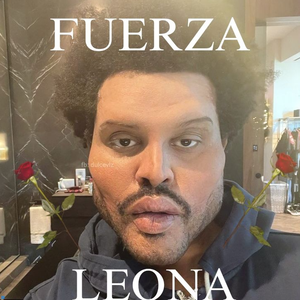 Yolerox