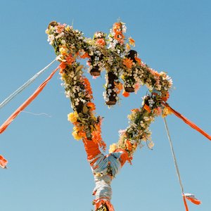 Immagine per 'Flowers'