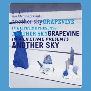 'another sky (Live at Hitomi Memorial Hall 2022.07.02)' için resim