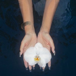 Image for 'orchids (lullabies)'