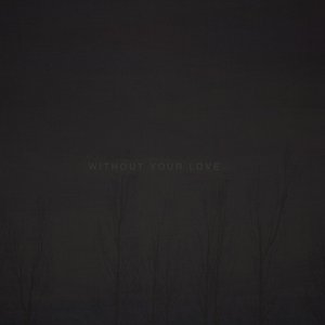 Image for 'Without Your Love'