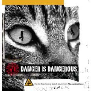 Image for 'Danger is Dangerous'