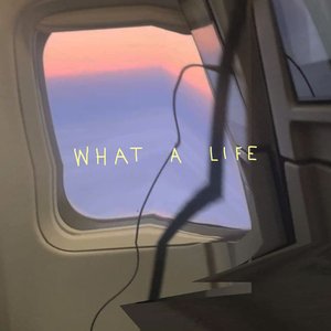 “What A Life”的封面