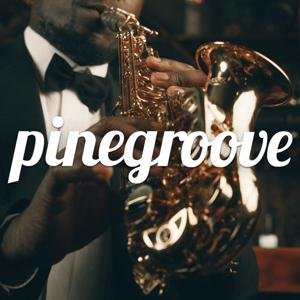 Image for 'pinegroove'