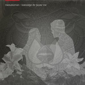 “Sakladığın Bir Şeyler Var”的封面