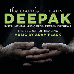 Изображение для 'The Sounds of Healing: Instrumental Music from The Secret of Healing Meditations'