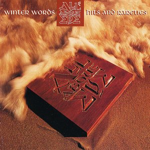 Bild für 'Winter Words: Hits & Rarities'