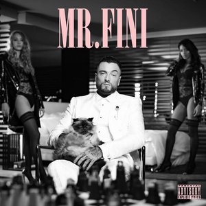 Bild för 'Mr. Fini'