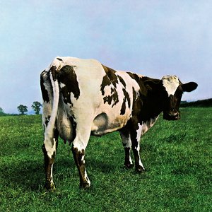 Image for 'Atom Heart Mother'