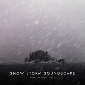 “Snow Storm Soundscape”的封面