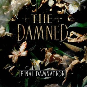 Image for 'Final Damnation'