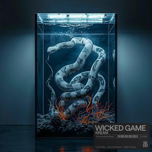 “Wicked Game”的封面
