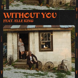 Image for 'Without You (feat. Elle King)'