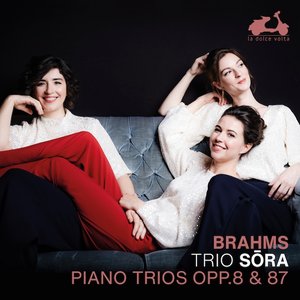 Изображение для 'Brahms: Piano Trios, Opp. 8 & 87'