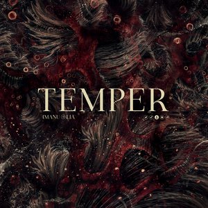 Image for 'Temper'