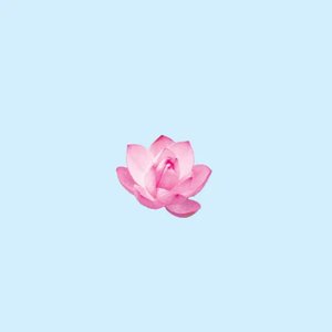 Image for 'Its a Lofi'