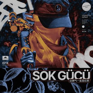 Image for 'SOK GÜCÜ (这脾气一直是后果)'