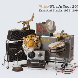 Image for 'What's Your 20? Essential Tracks 1994-2014 Disc 2'