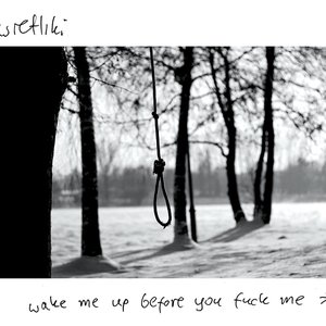 Image for 'Wake Me Up Before You Fuck Me'