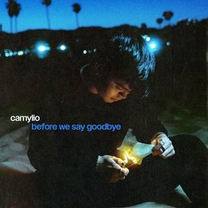 Image for 'before we say goodbye'