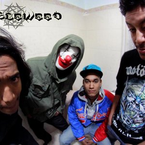 Image for 'Tumbleweed Inc.'
