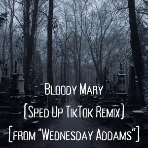 Image for 'Bloody Mary (Sped Up TikTok Remix) [from "Wednesday Addams"]'