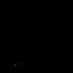 Image for 'C'