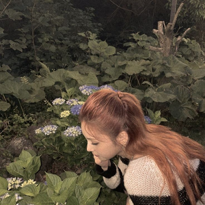 star_bgs