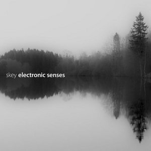 Изображение для 'Electronic senses'