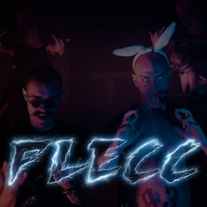 Image for 'Flecc'