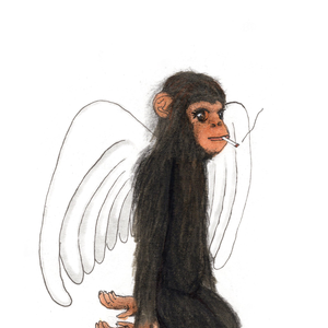 pibebarulo