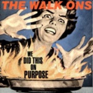 Image for 'We Did This On Purpose'