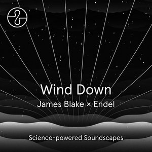 “Wind Down”的封面