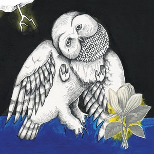 Image for 'The Magnolia Electric Co. (10th Anniversary Deluxe Edition)'